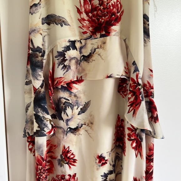 Haute Hippie Floral Midi Dress - Picture 4 of 7